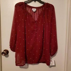 NWT Maroon blouse with white detail